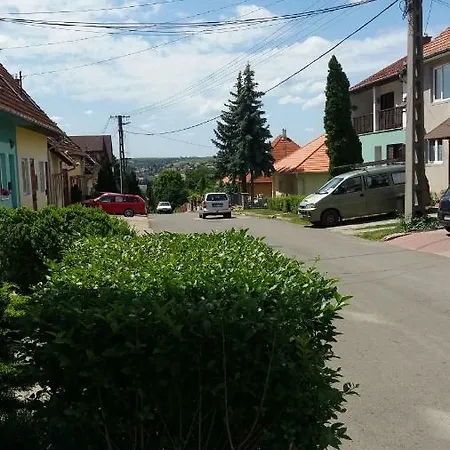 아파트 Zold Tuja Panzio