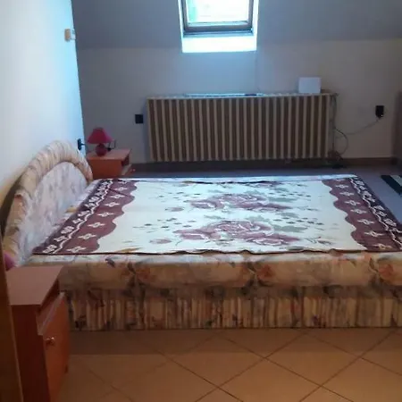 Zold Tuja Panzio Apartment